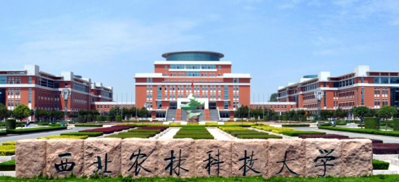 寧夏林學(xué)專(zhuān)業(yè)大學(xué)排名及分?jǐn)?shù)線(xiàn)一覽表