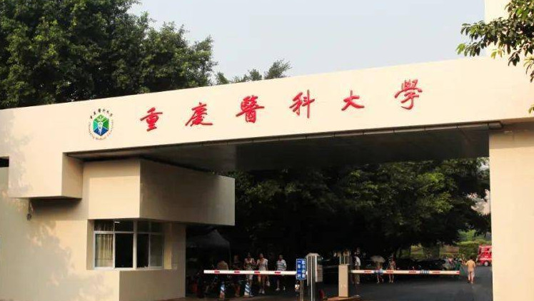 寧夏醫(yī)學影像技術專業(yè)大學排名及分數(shù)線一覽表
