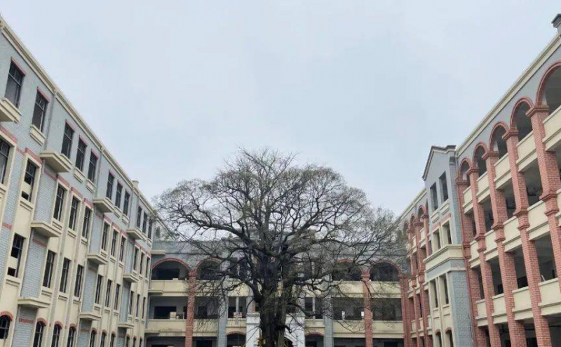 嘉善新世紀學(xué)校怎么樣、好不好