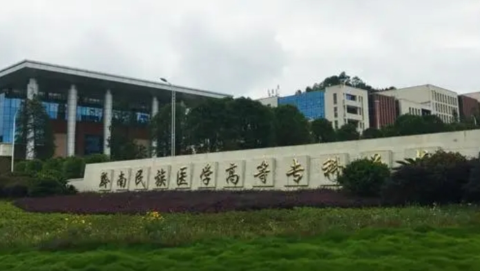 2024黔南民族醫(yī)學(xué)高等?？茖W(xué)校重點(diǎn)特色專業(yè)匯總表