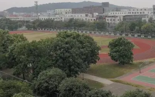 佛山順德區(qū)龍江職業(yè)技術(shù)學(xué)校2023年招生錄取分?jǐn)?shù)線（2024年參考）