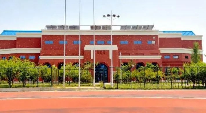 山東外國語職業(yè)技術大學高考錄取分數線是多少（2024參考）
