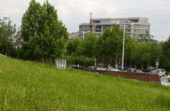 2024提前批一般需要多少分？及提前批報考條件和要求