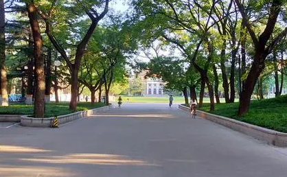 2024年重慶高考人數(shù)多少人？附重慶歷年高考人數(shù)