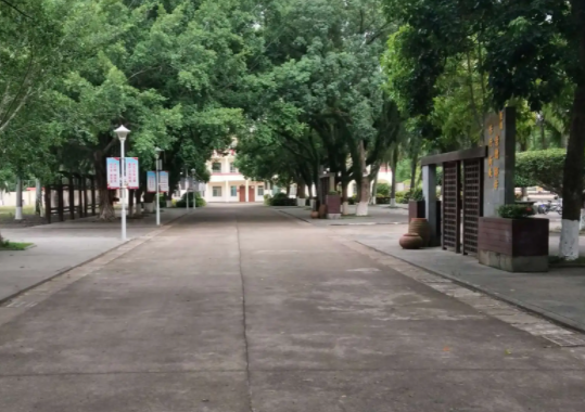 北京高考很容易嗎？附各省高考本科錄取率排名