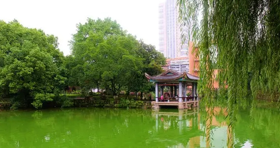 2024年高考提前批有什么要求？附河南高考提前批院校名單一覽表