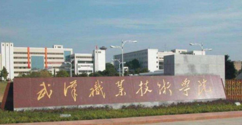 2024武漢?？拼髮W有哪些？附武漢?？茖W校排名前十名單