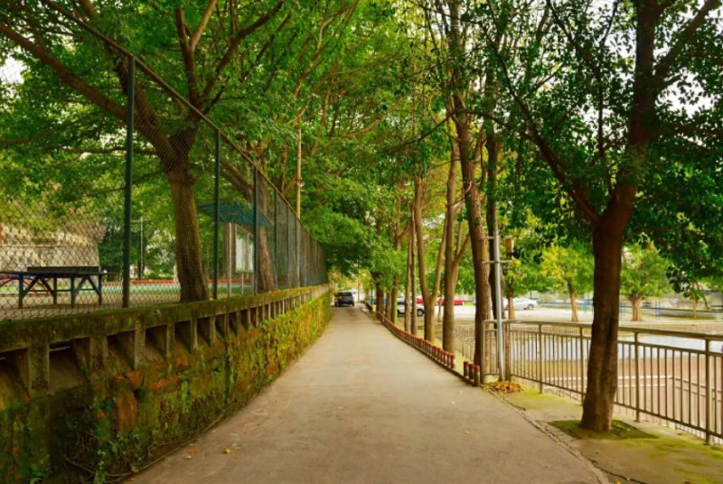 重慶市二十八中地址，乘車路線