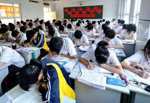2024中國(guó)大學(xué)農(nóng)業(yè)建筑環(huán)境與能源工程專(zhuān)業(yè)排名一覽表（研究型）