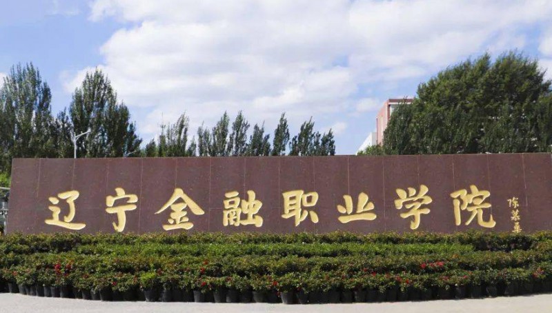 遼寧金融職業(yè)學院中外合作辦學專業(yè)一覽 （2024）