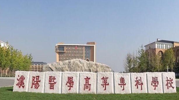 濮陽醫(yī)學高等?？茖W校中外合作辦學學費（2024）