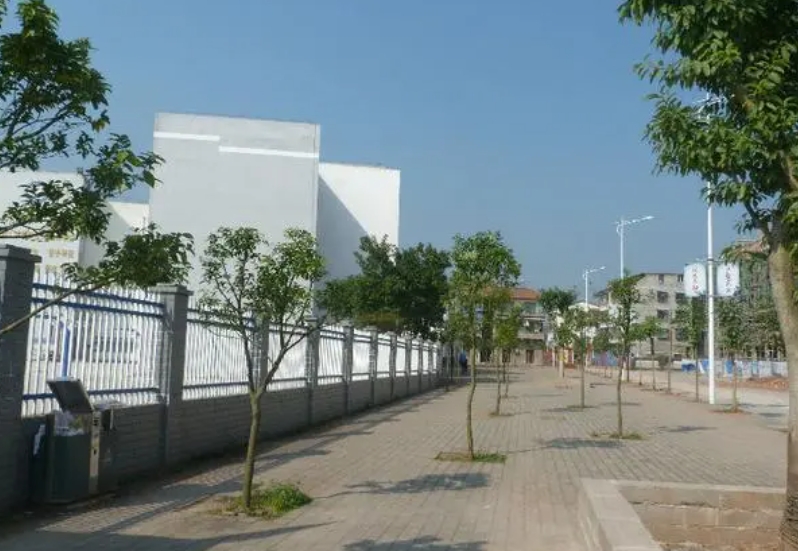 石家莊龍鳳中學(xué)怎么樣、好不好