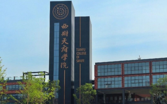 西南財經大學天府學院藝術類學費（2024）