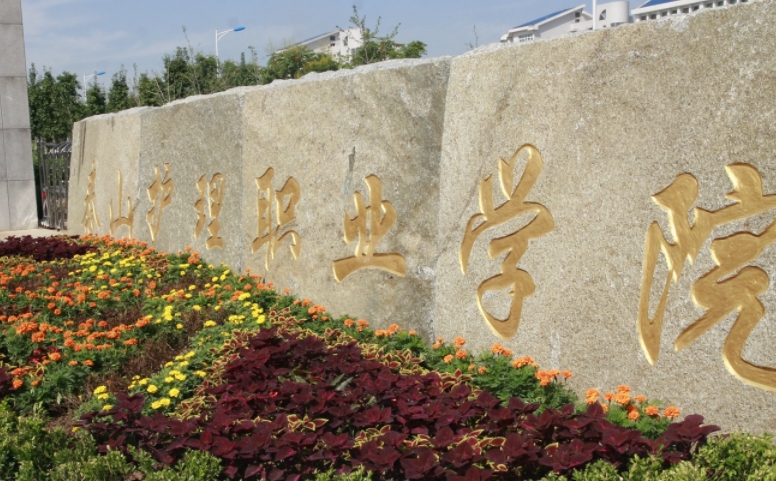 泰山護(hù)理職業(yè)學(xué)院中外合作辦學(xué)學(xué)費（2024）