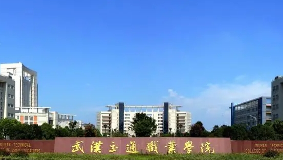 武漢交通職業(yè)學院中外合作辦學學費（2024）