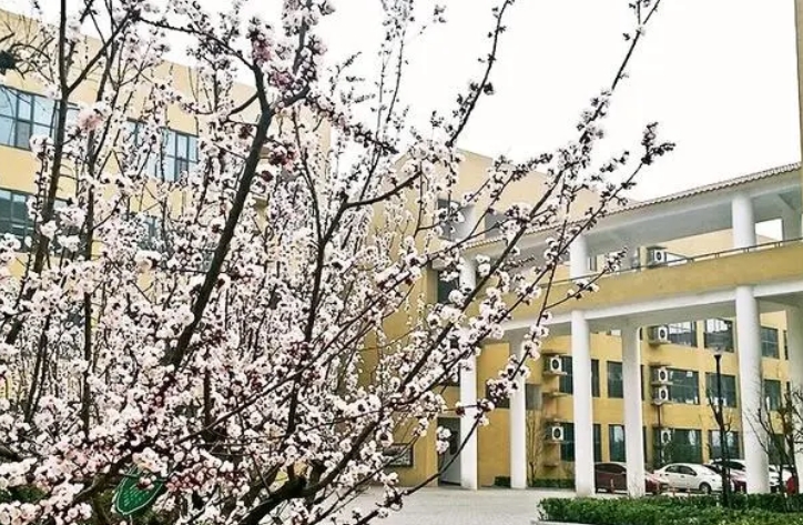 2024邯鄲市第二中學(xué)招生計(jì)劃 招生人數(shù)是多少(附要求、條件、對象)