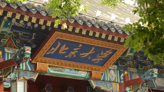 智能科學(xué)與技術(shù)專(zhuān)業(yè)院校排名（2025年參考）