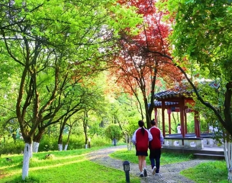 貴州2025年100分能上鐵路學校嗎
