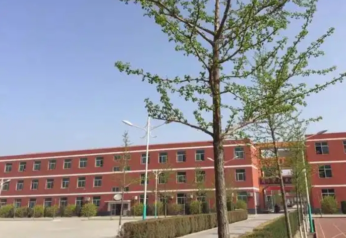 2025保定市徐水天源學(xué)校招生計(jì)劃 招生人數(shù)是多少(附要求、條件、對(duì)象)