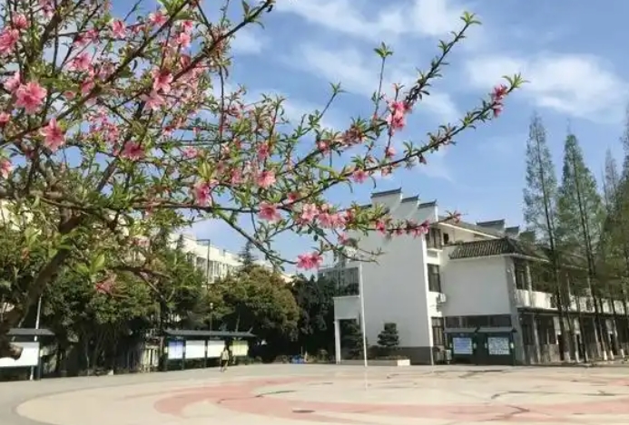 2025龍泉師一招生計劃 招生人數(shù)是多少(附要求、條件、對象)