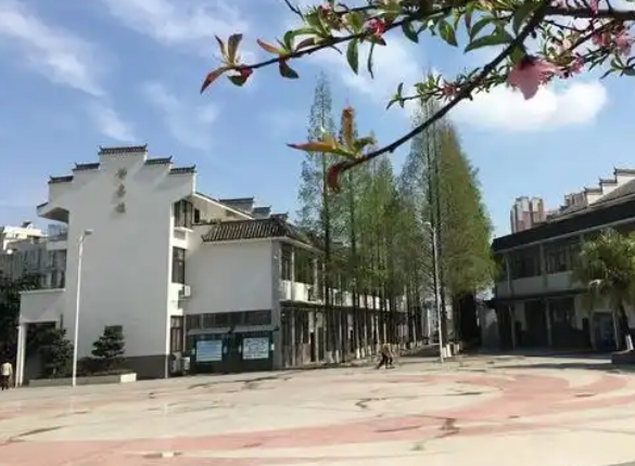 龍泉師一怎么樣、好不好