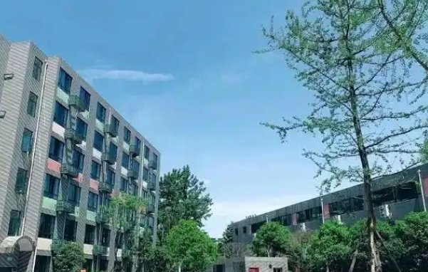 2025成都市郫都區(qū)綿實(shí)外國語學(xué)校招生計(jì)劃 招生人數(shù)是多少(附要求、條件、對象)