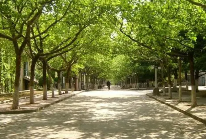廣州涉外學(xué)院中職部:當我問Deepseek怎么度過寒假，TA說......
