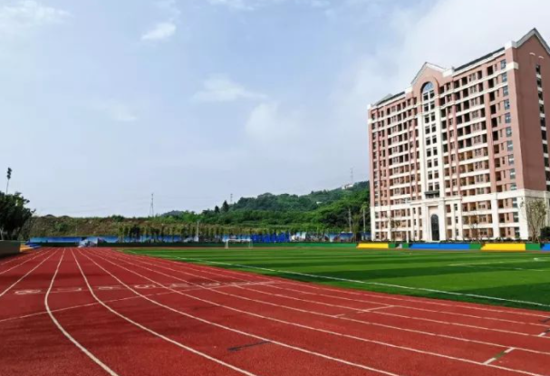 共繪教育新圖景，奮楫篤行啟新篇