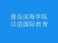 漢語(yǔ)國(guó)際教育