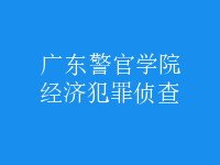 經(jīng)濟犯罪偵查