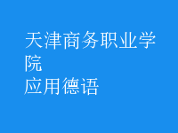 應用德語