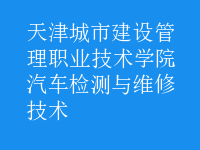 汽車檢測與維修技術(shù)