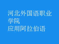 應(yīng)用阿拉伯語(yǔ)