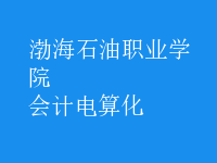 會計(jì)電算化