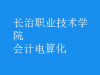 會計(jì)電算化