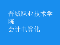 會計電算化