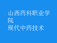 現(xiàn)代中藥技術