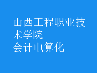 會計電算化