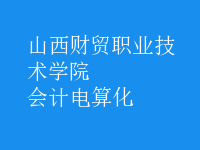 會計電算化
