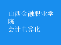 會計(jì)電算化