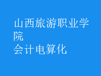 會計電算化