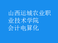 會計電算化