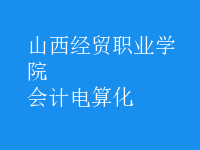 會計電算化