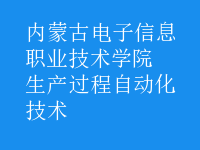 生產(chǎn)過(guò)程自動(dòng)化技術(shù)