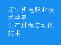 生產(chǎn)過程自動(dòng)化技術(shù)