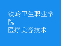 醫(yī)療美容技術