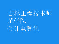 會計電算化