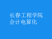 會計電算化