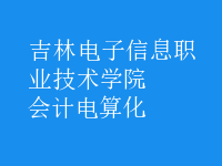 會計(jì)電算化