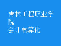 會計電算化